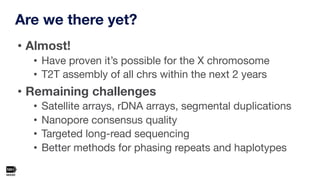 T2t Project Telomere-to-telomere assembly of a complete human X chromosome | PDF