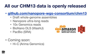 Telomere-to-telomere assembly of a complete human X chromosome | PDF