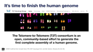 T2t Project Telomere-to-telomere assembly of a complete human X chromosome | PDF