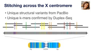 • Unique structural variants from PacBio
• Unique k-mers confirmed by Duplex-Seq
Stitching across the X centromere
 