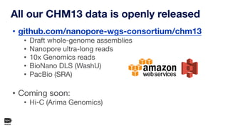 • github.com/nanopore-wgs-consortium/chm13
• Draft whole-genome assemblies
• Nanopore ultra-long reads
• 10x Genomics read...