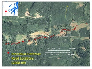 Individual Cutthroat
Redd Locations
(2008-09)
N
 