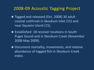 2008-09 Acoustic Tagging Project
 Tagged and released (Oct. 2008) 30 adult
coastal cutthroat in Skookum Inlet (15) and
near Squaxin Island (15).
 Established 18 receiver locations in South
Puget Sound and in Skookum Creek (November
2008-May 2009).
 Document mortality, movements, and relative
abundance of tagged fish in Skookum Creek
index.
 