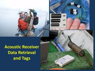 Acoustic Receiver
Data Retrieval
and Tags
 