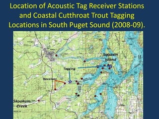Location of Acoustic Tag Receiver Stations
and Coastal Cutthroat Trout Tagging
Locations in South Puget Sound (2008-09).
 
