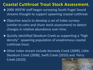 Coastal Cutthroat Trout Stock Assessment.
 2006 WDFW staff began surveying South Puget Sound
streams thought to support spawning coastal cutthroat.
 Objective was/is to develop a set of index surveys
(similar to coho and chum stock assessment) to detect
changes in relative abundance over time.
 Quickly identified Skookum Creek as supporting a “high
density” spawning population of anadromous coastal
cutthroat trout.
 Other index stream include Kennedy Creek (2009), Little
Skookum Creek (2008), Swift Creek (2010) and Perry
Creek (2010).
 