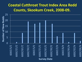 0
5
10
15
20
25
2/5/2009
2/12/2009
2/19/2009
2/26/2009
3/5/2009
3/12/2009
3/19/2009
3/26/2009
4/2/2009
4/9/2009
4/16/2009
4/23/2009
4/30/2009
NumberofNewRedds
Survey Date
Coastal Cutthroat Trout Index Area Redd
Counts, Skookum Creek, 2008-09.
 