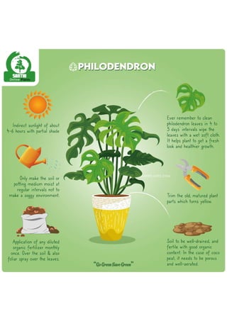 Philodendron infographic-01 (2).pdf