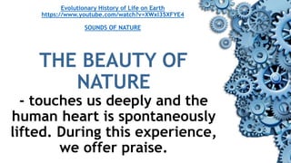Evolutionary History of Life on Earth
https://www.youtube.com/watch?v=XWxl35XFYE4
SOUNDS OF NATURE
THE BEAUTY OF
NATURE
- touches us deeply and the
human heart is spontaneously
lifted. During this experience,
we offer praise.
 