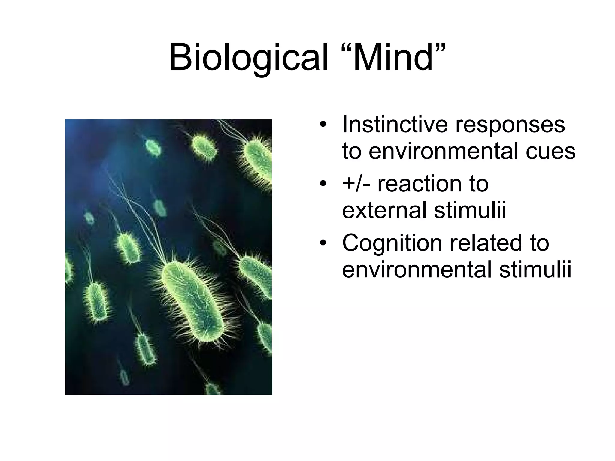 Biological “Mind” Instinctive responses to environmental cues +/- reaction to external stimulii Cognition related to environmental stimulii 