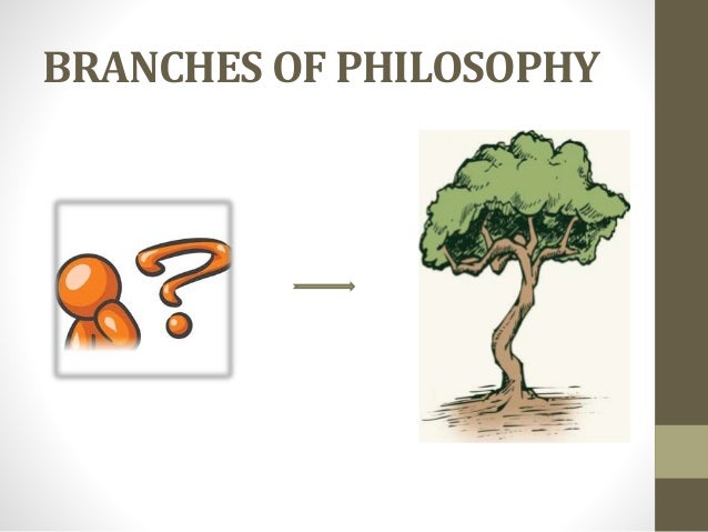 lecture 2 branches of typology of Chapter three the executive branch: the president and the bureaucracy 2 review those key events that shaped the evolution of the presidency 3 eisenhower approaches as well as the james barber typology 4. lecture 2 branches of typology of Chapter three the executive branch: the president and the bureaucracy 2 review those key events that shaped the evolution of the presidency 3 eisenhower approaches as well as the james barber typology 4.
