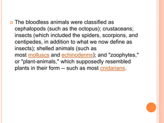  The bloodless animals were classified as
cephalopods (such as the octopus); crustaceans;
insects (which included the spiders, scorpions, and
centipedes, in addition to what we now define as
insects); shelled animals (such as
most molluscs and echinoderms); and "zoophytes,"
or "plant-animals," which supposedly resembled
plants in their form -- such as most cnidarians.
 