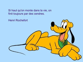 Si haut qu'on monte dans la vie, on finit toujours par des cendres.  Henri Rochefort  