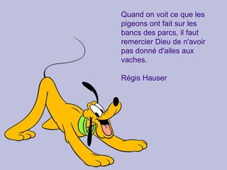 Quand on voit ce que les pigeons ont fait sur les bancs des parcs, il faut remercier Dieu de n'avoir pas donné d'ailes aux vaches. Régis Hauser  