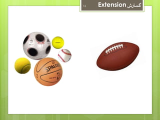 16 Extension گسترش 
 