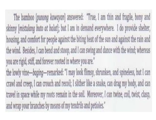 Filipino Philosopher