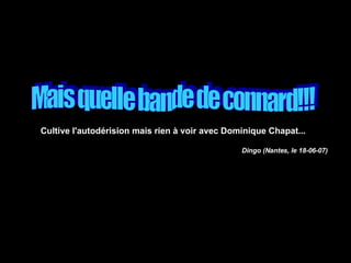 Cultive l'autodérision mais rien à voir avec Dominique Chapat... Dingo (Nantes, le 18-06-07) Mais quelle bande de connard!!! 