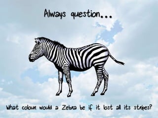 Philosophy - Lesson 1 - What is Philosophy