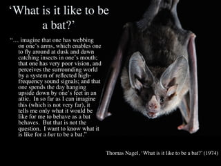 ‘What is it like to be
      a bat?’	

“… imagine that one has webbing
    on one’s arms, which enables one
    to ﬂy around at dusk and dawn
    catching insects in one’s mouth;
    that one has very poor vision, and
    perceives the surrounding world
    by a system of reﬂected high-
    frequency sound signals; and that
    one spends the day hanging
    upside down by one’s feet in an
    attic. In so far as I can imagine
    this (which is not very far), it
    tells me only what it would be
    like for me to behave as a bat
    behaves. But that is not the
    question. I want to know what it
    is like for a bat to be a bat.”	

	

                                         Thomas Nagel, ‘What is it like to be a bat?’ (1974)	

 