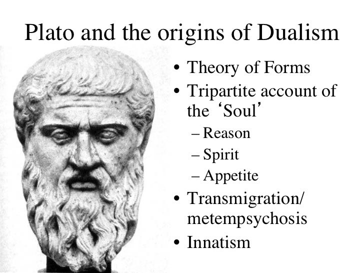 Plato s View Of The Tripartite Soul