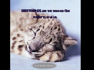 BEST FRIENDS are the siblings God forgot to give us.   