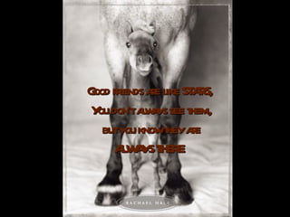 Good friends are like STARS,  You don't always see them, but you know they are ALWAYS THERE.   