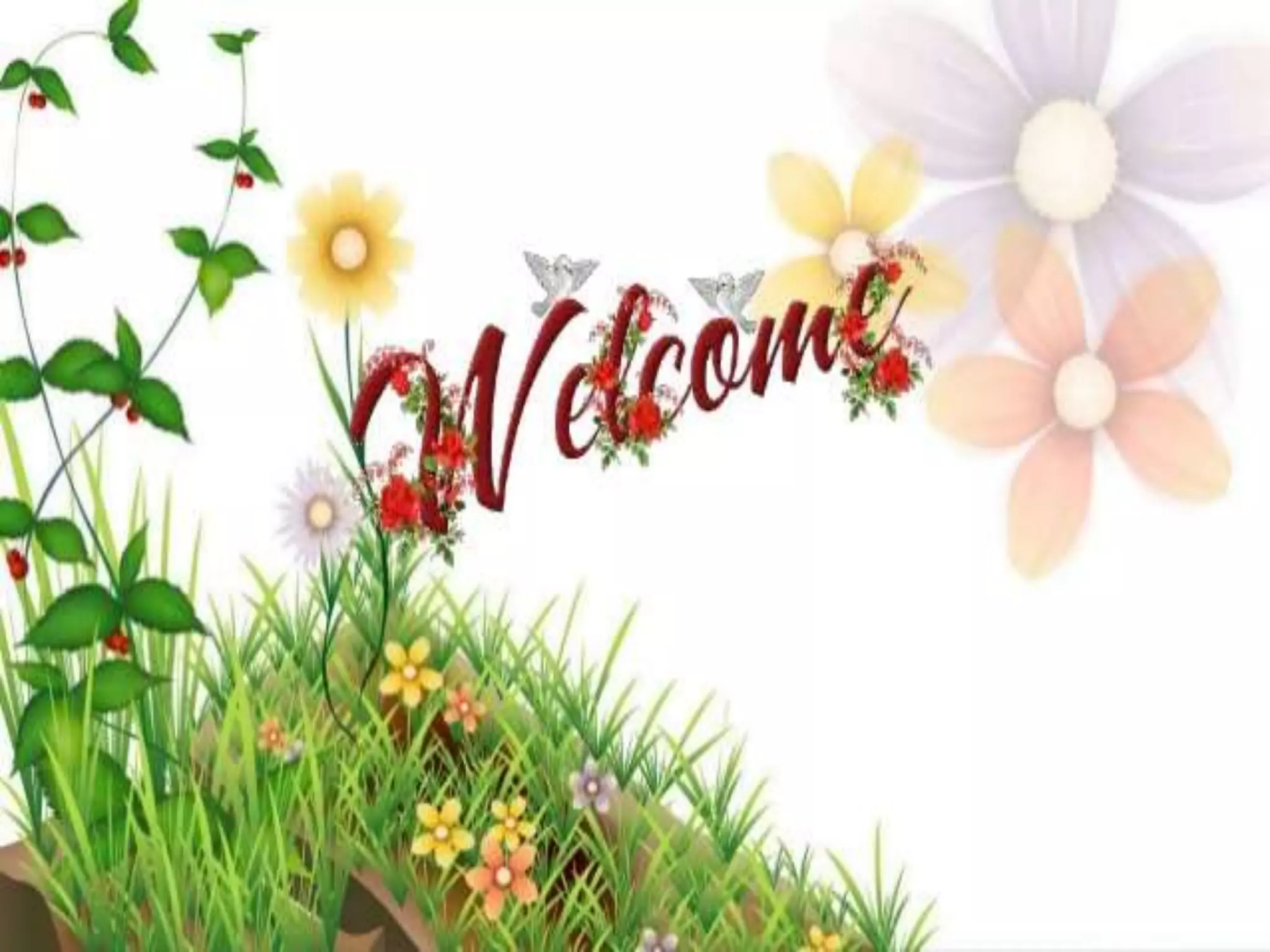 Philosophy and principles of rural development A Presentation By Mr ...