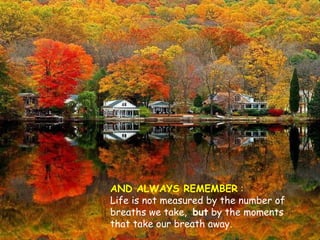 AND ALWAYS REMEMBER  : Life is not measured by the number of breaths we take,  but  by the moments that take our breath away. 