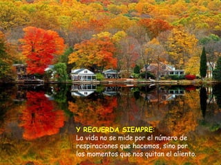 Y RECUERDA SIEMPRE : La vida no se mide por el número de respiraciones que hacemos, sino por los momentos que nos quitan el aliento. 