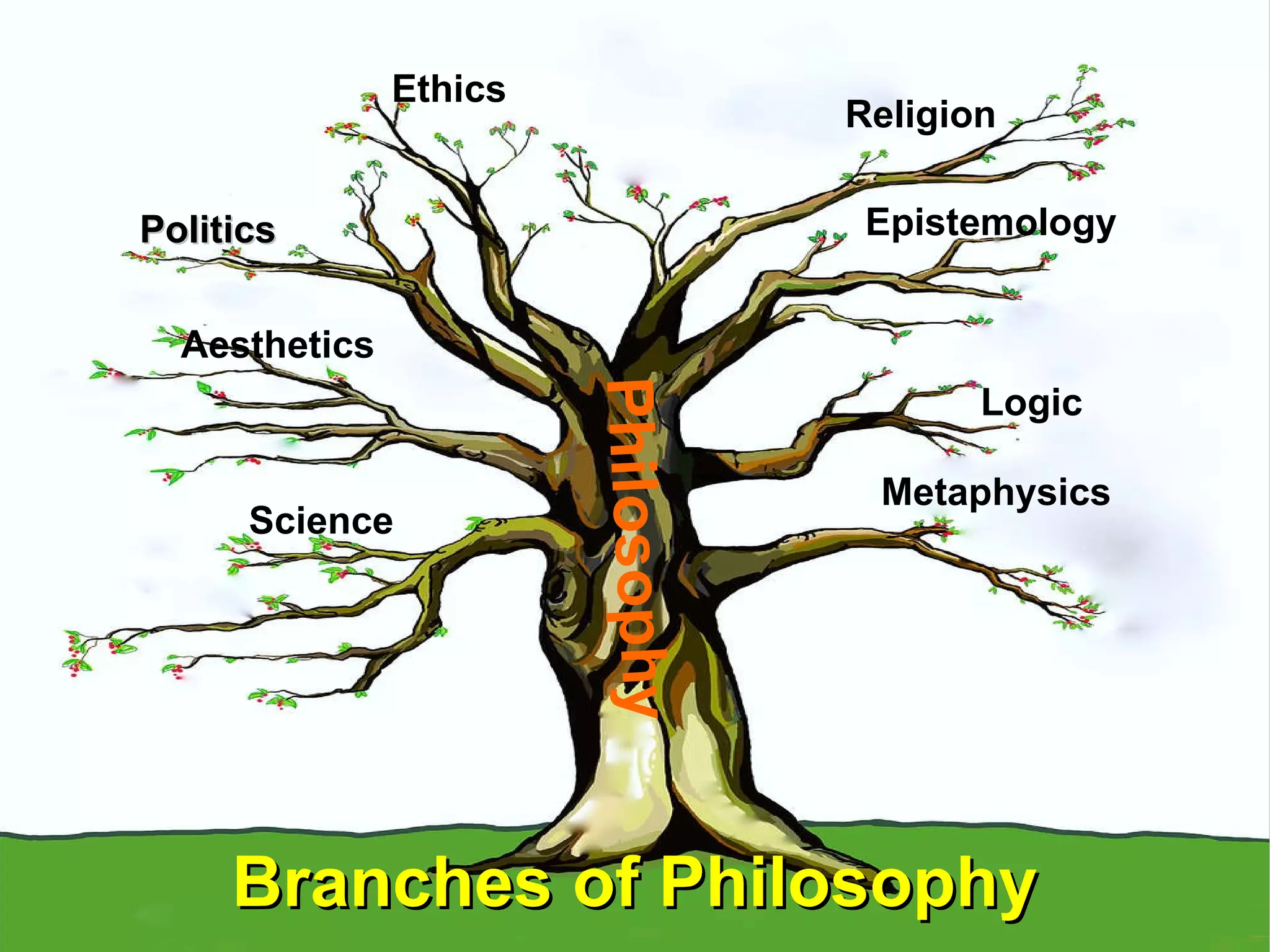 Branches of Philosophy Ethics Politics Religion Metaphysics Logic Epistemology Aesthetics Science Philosophy 