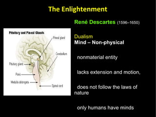 René Descartes   (1596–1650)   Dualism  Mind – Non-physical  nonmaterial entity  lacks extension and motion,  does not follow the laws of nature  only humans have minds the mind interacts with the body at the pineal gland The pineal gland is the “seat of the soul”  The Enlightenment 