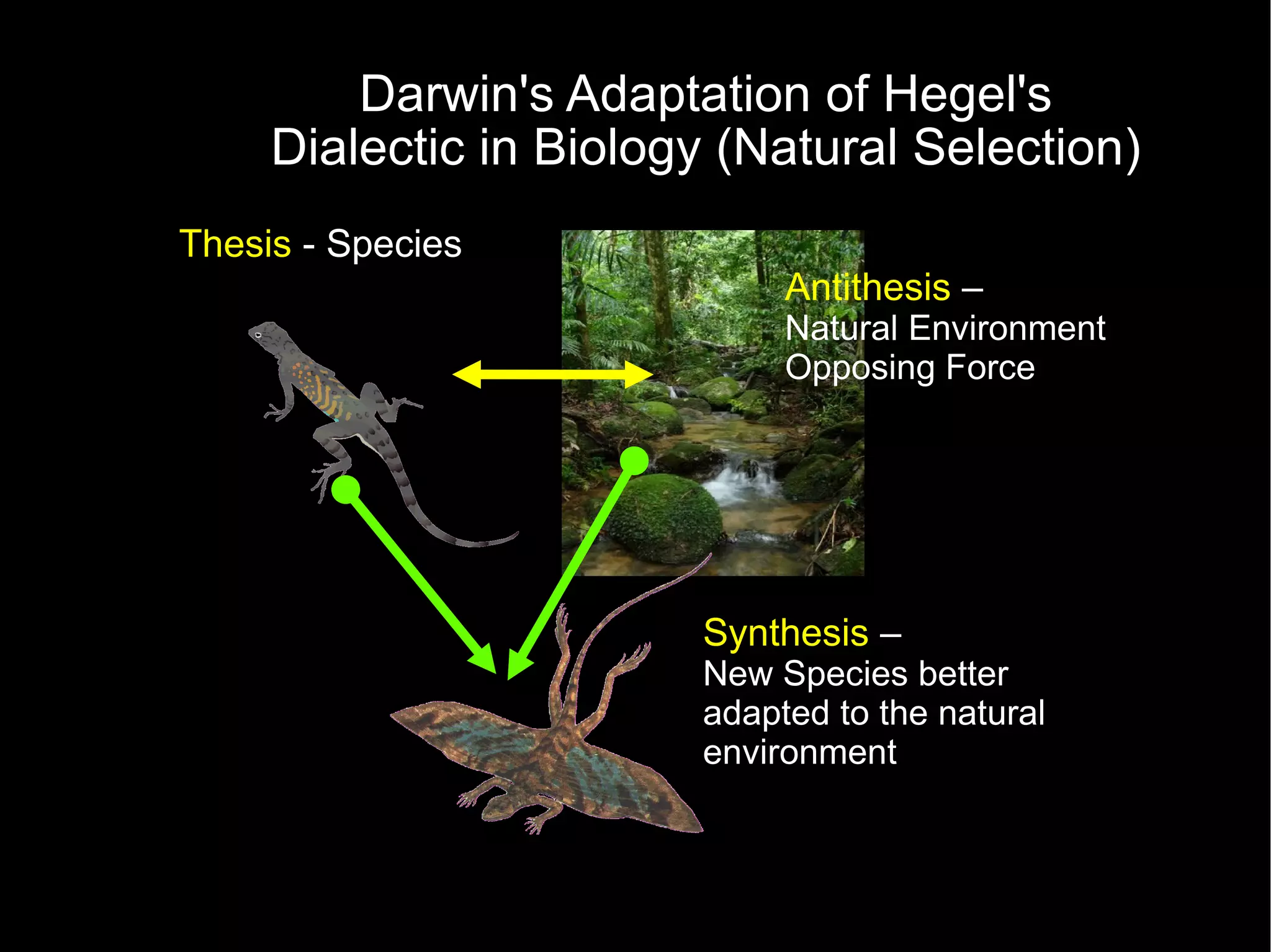 Darwin's Adaptation of Hegel's Dialectic in Biology (Natural Selection) Thesis  - Species Antithesis  –  Natural Environment Opposing Force Synthesis  –  New Species better adapted to the natural environment 