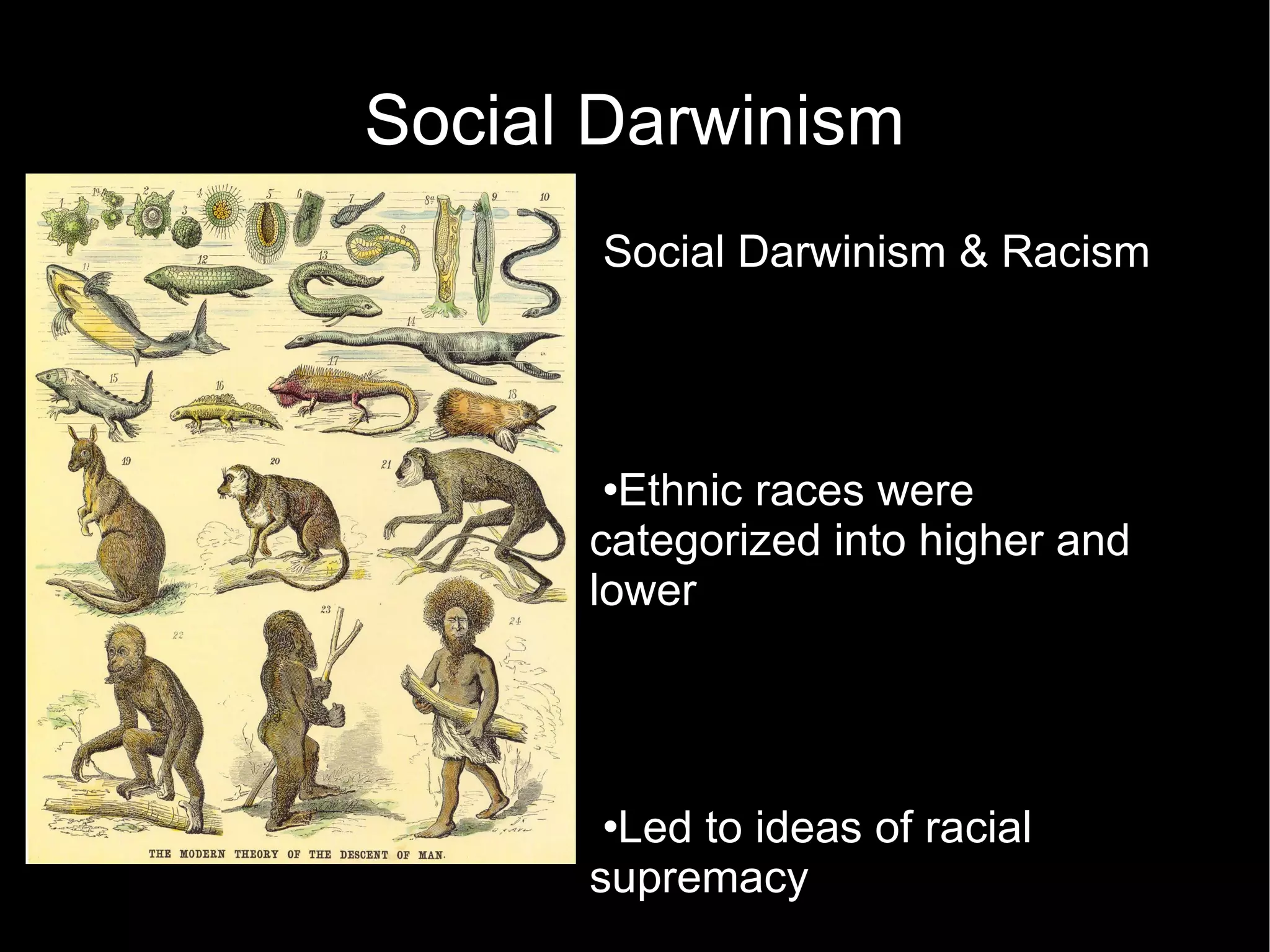 Social Darwinism Social Darwinism & Racism  Ethnic races were categorized into higher and lower  Led to ideas of racial supremacy  Used as a justification for slavery  