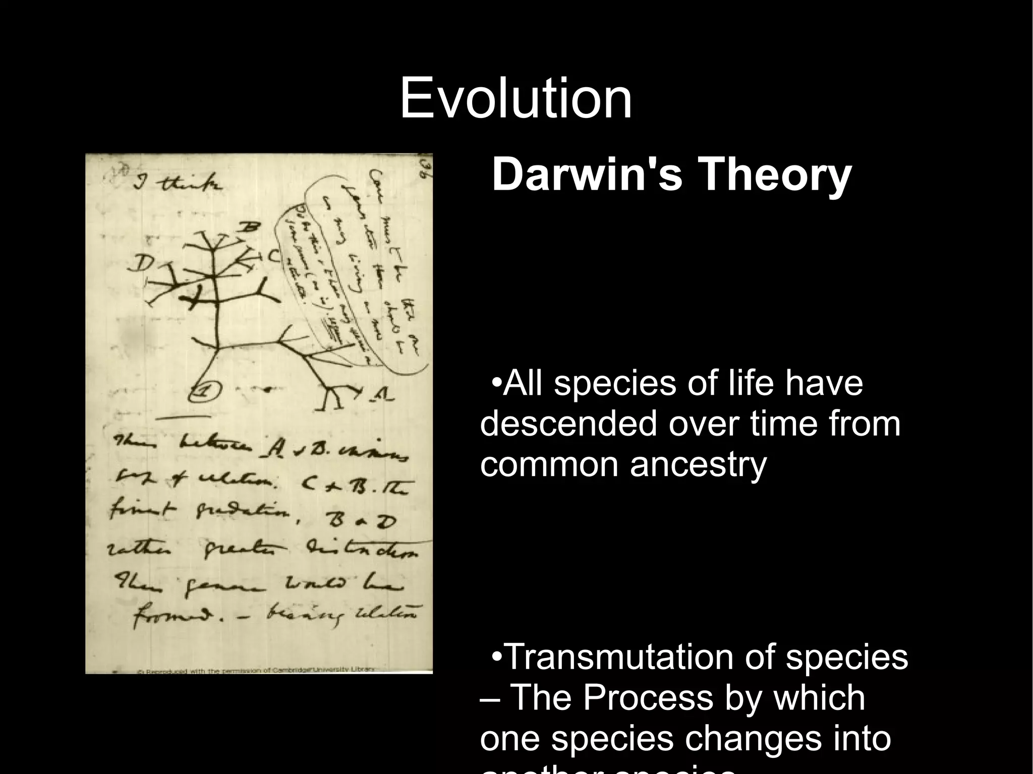 Evolution Darwin's Theory All species of life have descended over time from common ancestry Transmutation of species – The Process by which one species changes into another species 