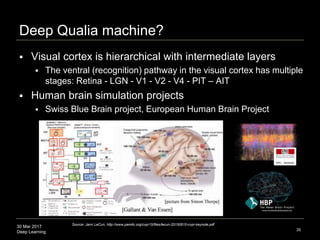 30 Mar 2017
Deep Learning
Deep Qualia machine?
 Visual cortex is hierarchical with intermediate layers
 The ventral (rec...