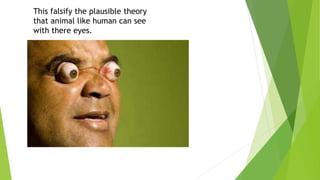 Falsification Example philosophy of science, Falsification theory, Karl popper | PPTX