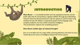 Exploring Kanzi the Bonobo: Insights into Animal Intelligence ...