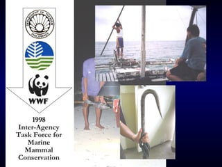 1998
Inter-Agency
Task Force for
Marine
Mammal
Conservation
 