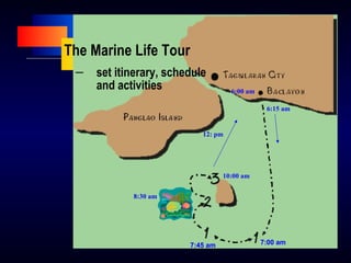 The Marine Life Tour
6:00 am
8:30 am
10:00 am
6:15 am
12: pm
7:00 am7:45 am 7:00 am7:45 am
― set itinerary, schedule
and activities
 