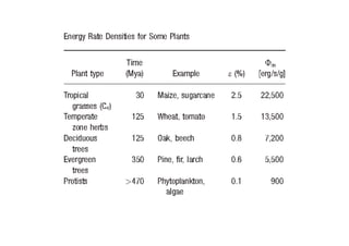 Phi m - oder warum alles Sinn macht