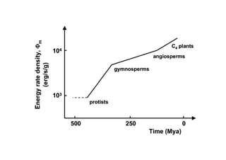 Phi m - oder warum alles Sinn macht