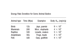 Phi m - oder warum alles Sinn macht