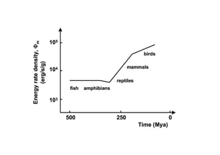 Phi m - oder warum alles Sinn macht