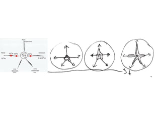 Phi m - oder warum alles Sinn macht