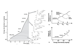 Phi m - oder warum alles Sinn macht