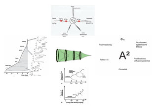 Phi m - oder warum alles Sinn macht