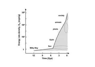 Phi m - oder warum alles Sinn macht