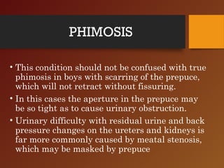 4 Phimosis treatment without Surgery, by Health Educare