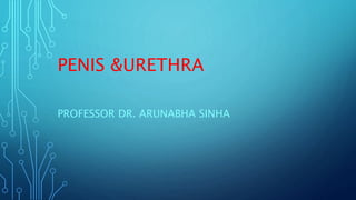 PENIS &URETHRA
PROFESSOR DR. ARUNABHA SINHA
 