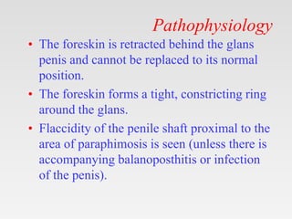 Phimosis ,paraphimosis ,circumcision.pptx